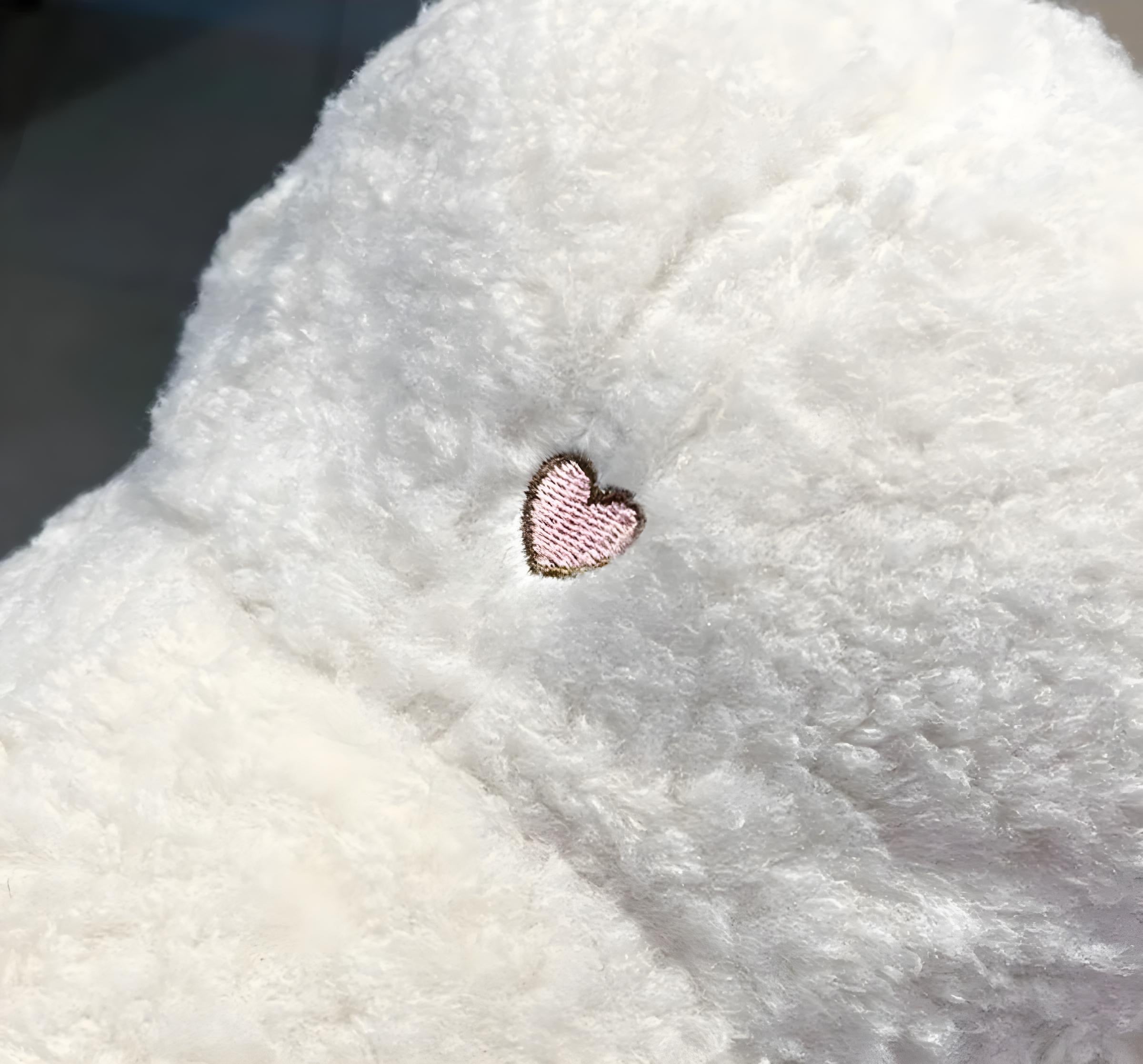 Cute Fluffy Bear Ears Winter Hat